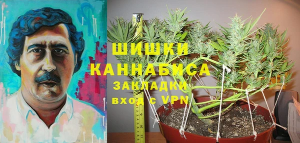 дурь Алексеевка