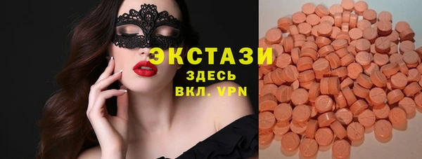 хмурый Алексин
