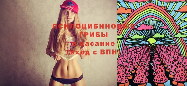 ешки Алзамай