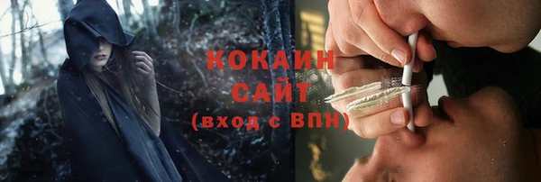 хмурый Алексин