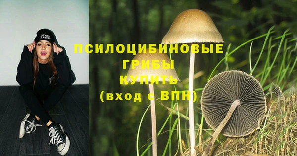 ешки Алзамай