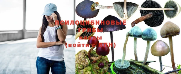 mdpv Михайловка