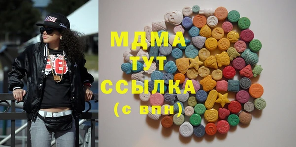 хмурый Алексин