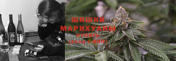 ешки Алзамай
